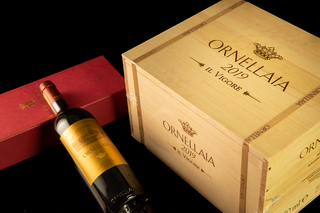 I vini italiani più cercati nel mondo