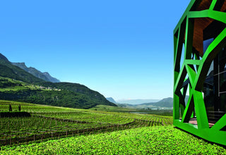 L'iconica architettura della Cantina Tramin di Werner Tscholl tra i vigneti